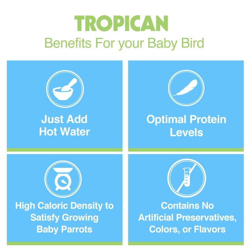 Hari Hagen Tropican Hand Feeding Parrot Food, 4.4 lb. - Hari Baby Bird Food for Optimal Growth - Image 5